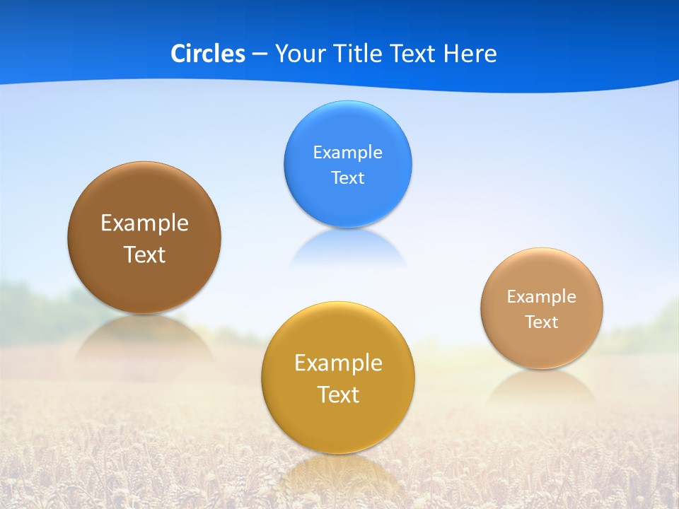 Background Wheat Straw PowerPoint Template