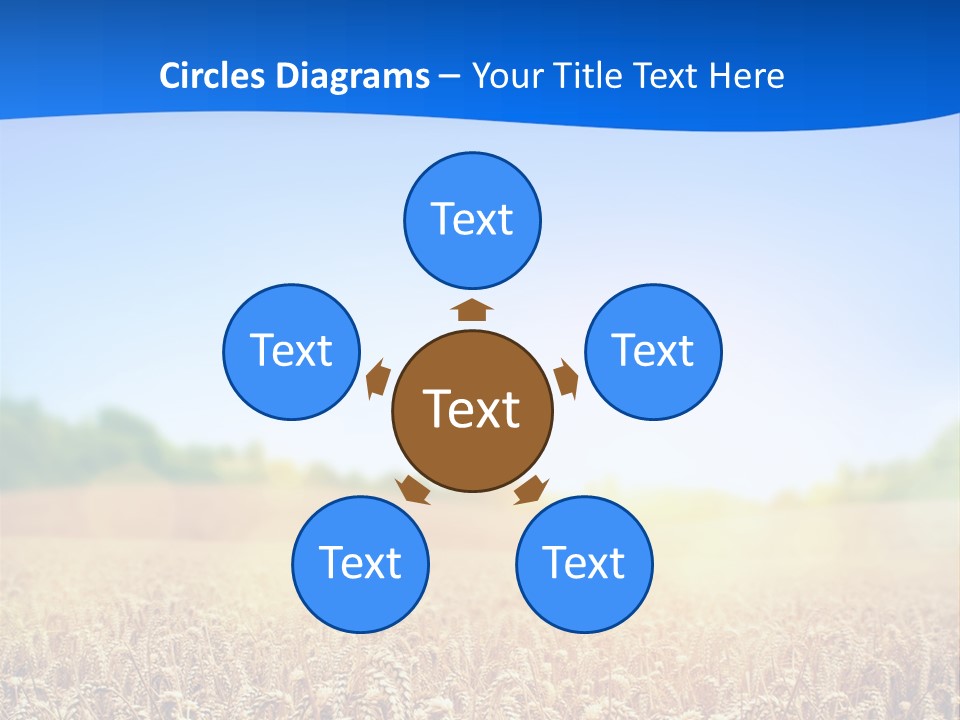 Background Wheat Straw PowerPoint Template