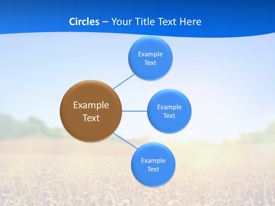 Background Wheat Straw PowerPoint Template