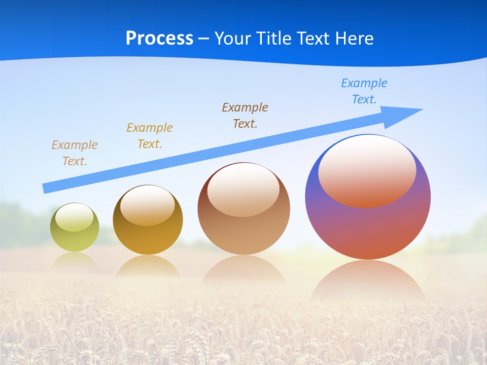 Background Wheat Straw PowerPoint Template