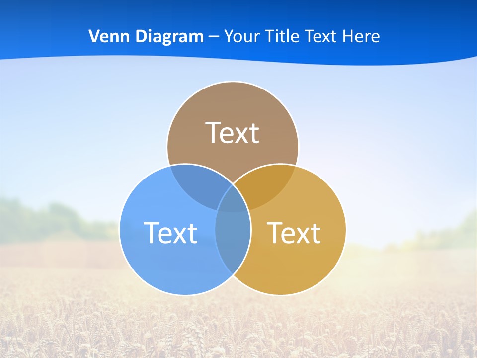 Background Wheat Straw PowerPoint Template