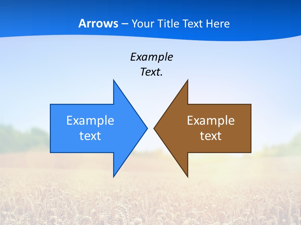 Background Wheat Straw PowerPoint Template