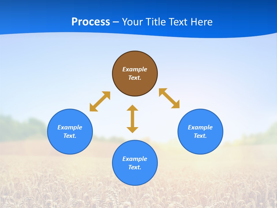 Background Wheat Straw PowerPoint Template