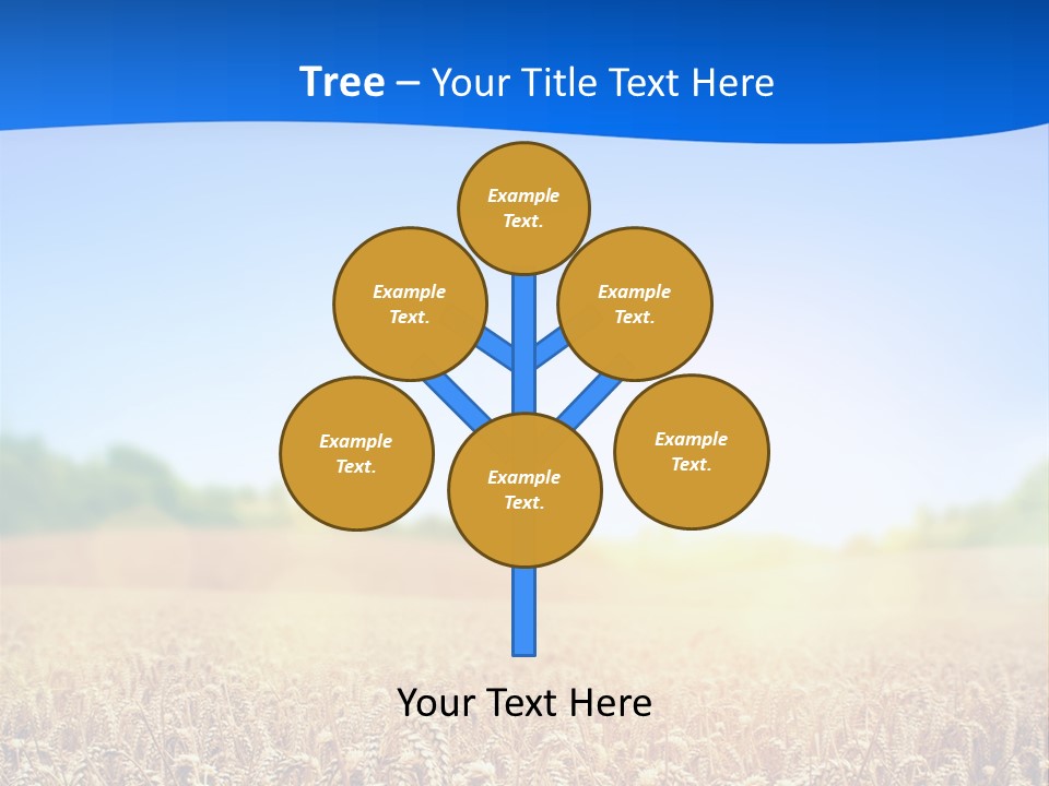 Background Wheat Straw PowerPoint Template