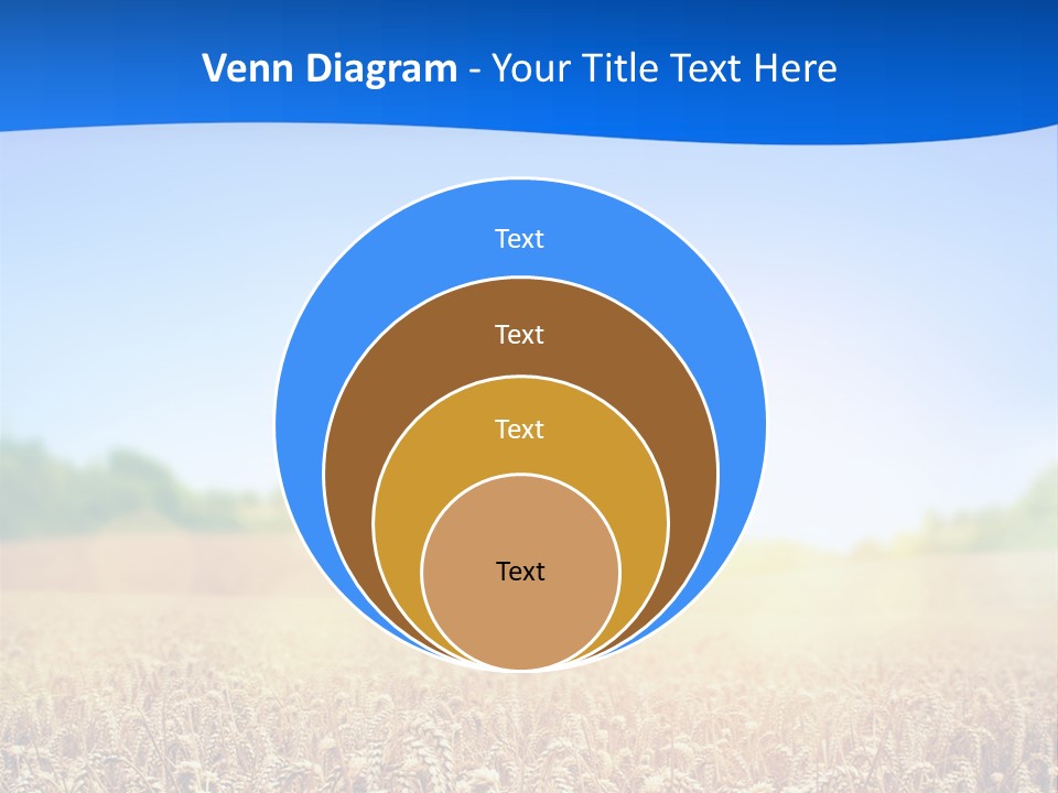 Background Wheat Straw PowerPoint Template