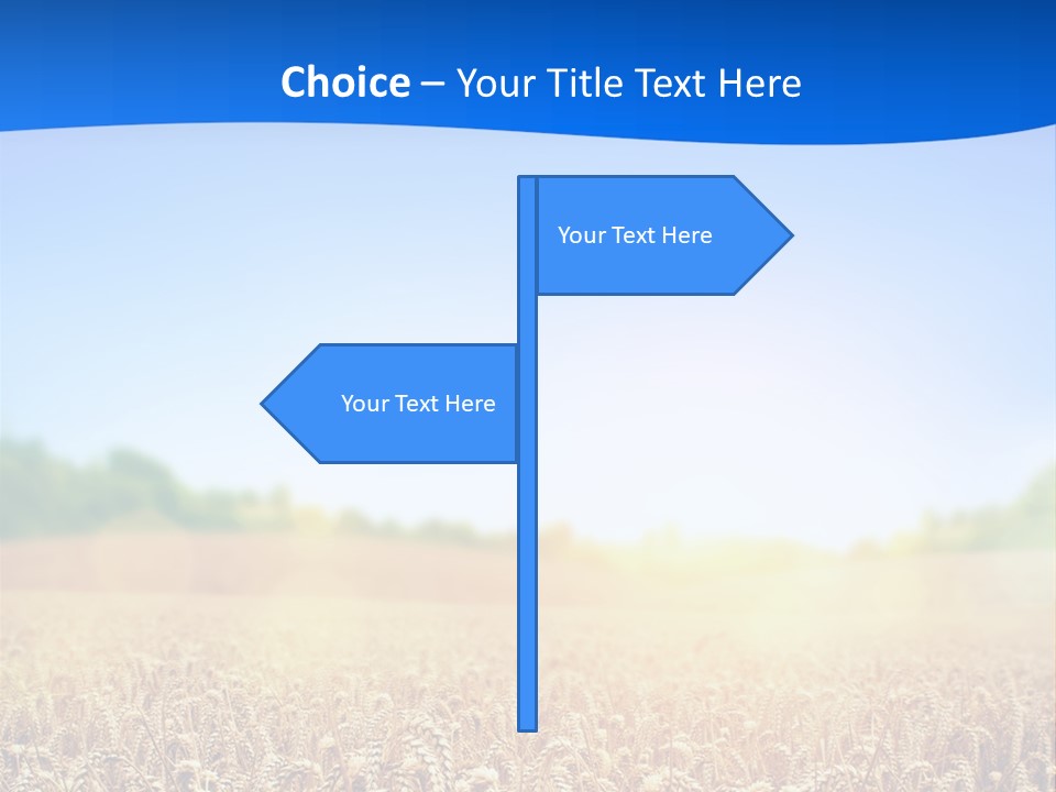 Background Wheat Straw PowerPoint Template