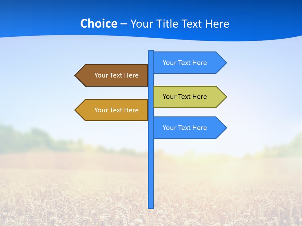 Background Wheat Straw PowerPoint Template