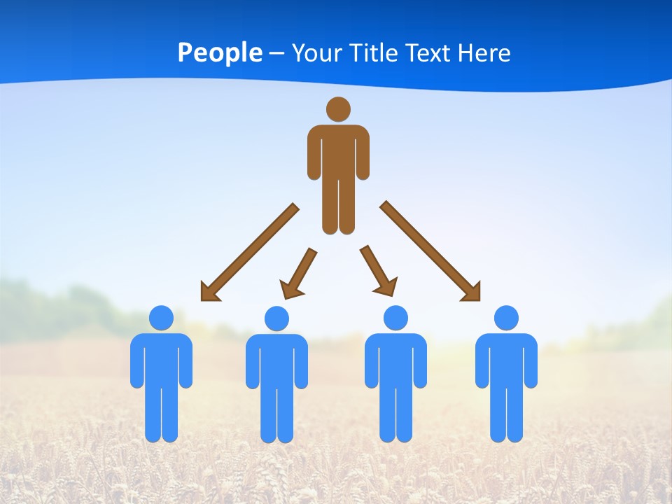 Background Wheat Straw PowerPoint Template