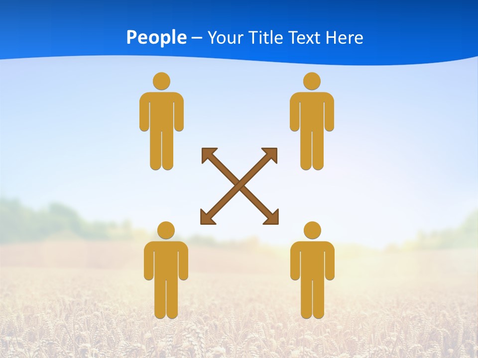 Background Wheat Straw PowerPoint Template