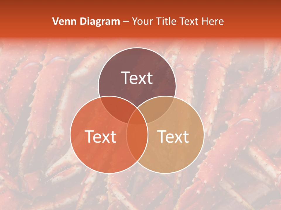 Leg Ice Food And Drink PowerPoint Template