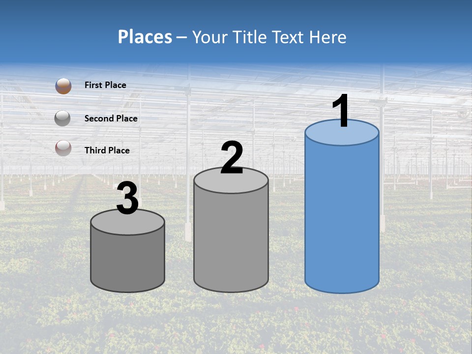 Interior Growth Pattern PowerPoint Template