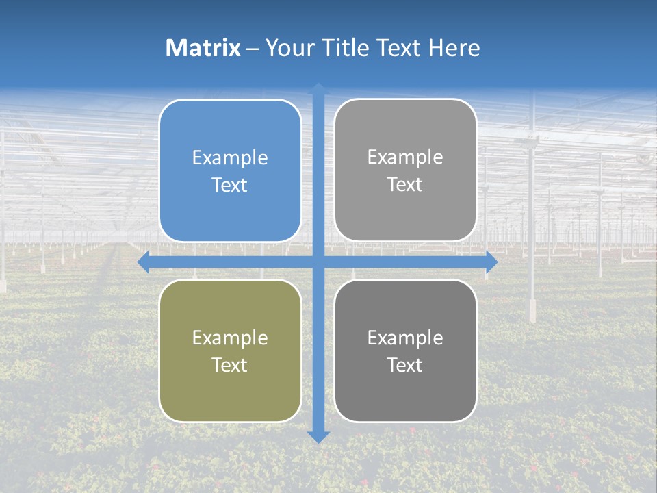 Interior Growth Pattern PowerPoint Template