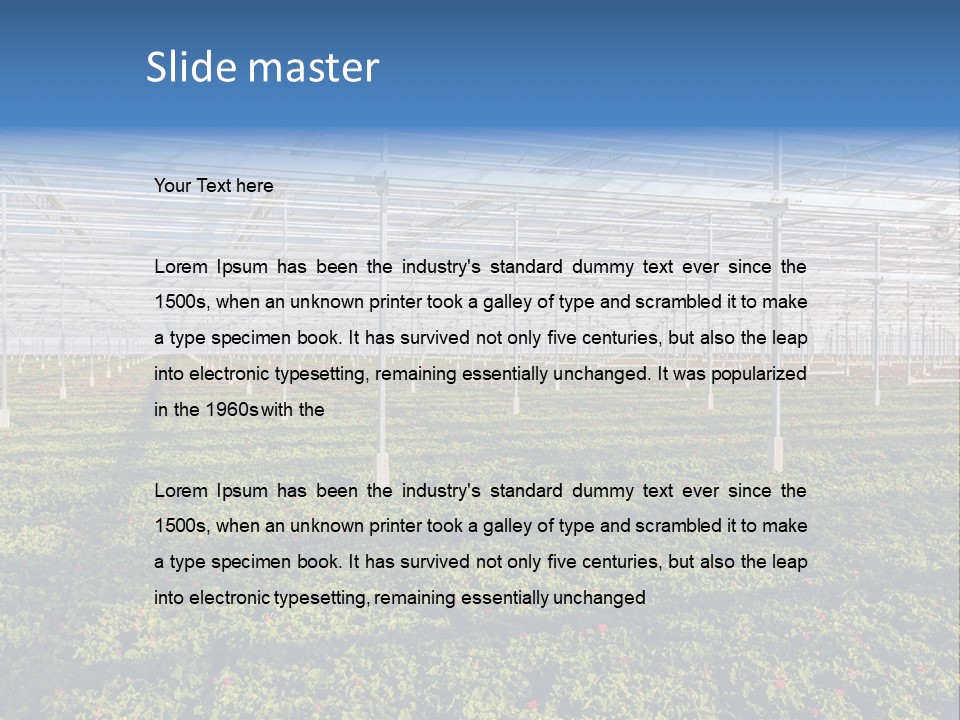 Interior Growth Pattern PowerPoint Template