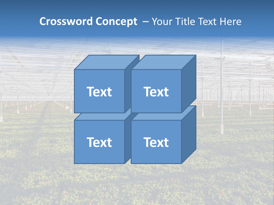 Interior Growth Pattern PowerPoint Template
