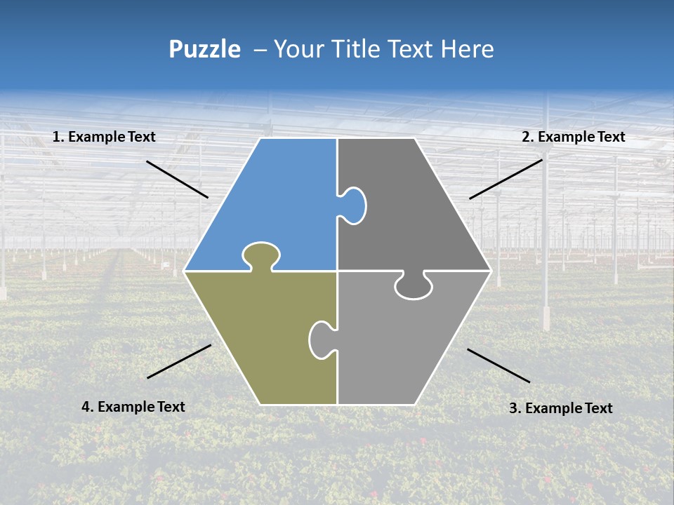 Interior Growth Pattern PowerPoint Template