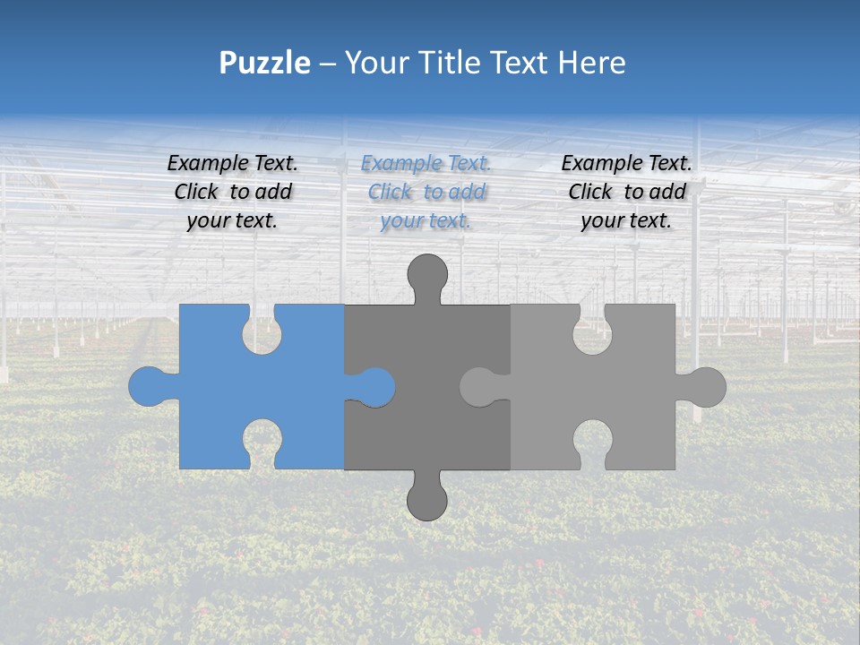 Interior Growth Pattern PowerPoint Template