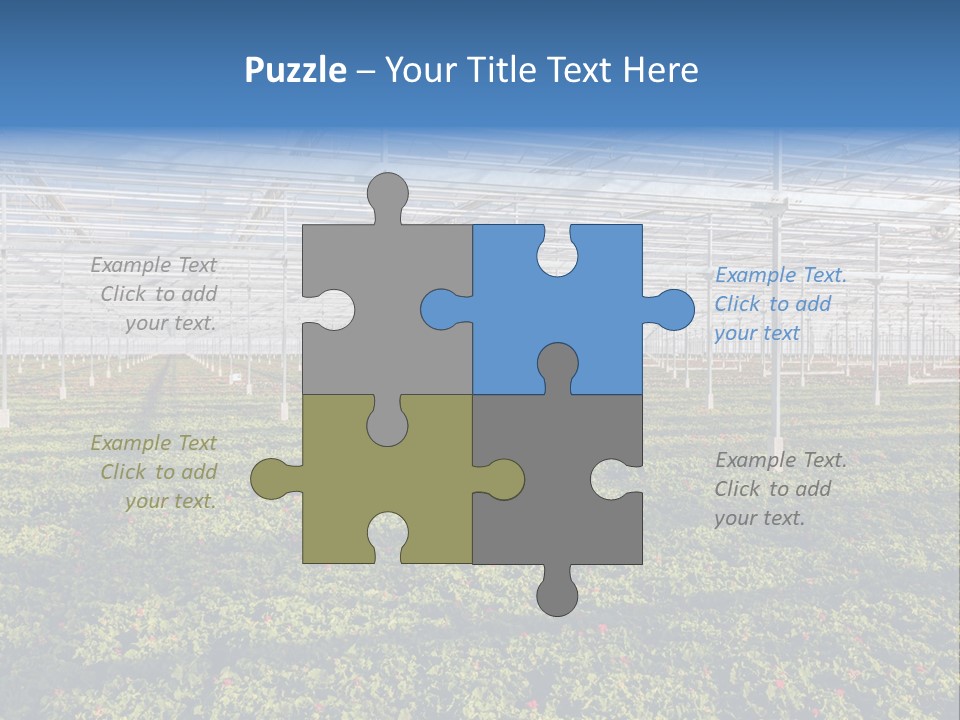 Interior Growth Pattern PowerPoint Template