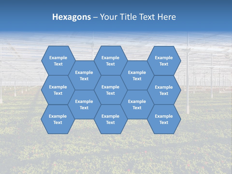 Interior Growth Pattern PowerPoint Template