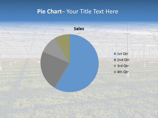 Interior Growth Pattern PowerPoint Template