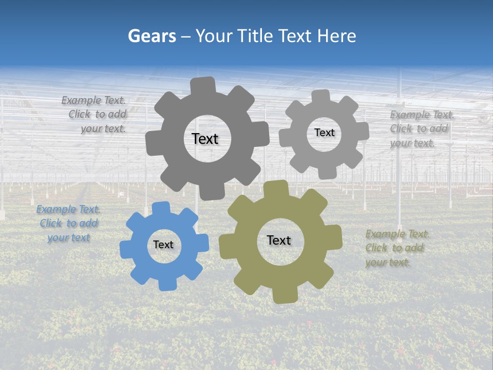 Interior Growth Pattern PowerPoint Template