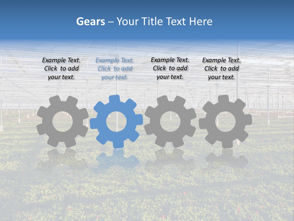 Interior Growth Pattern PowerPoint Template