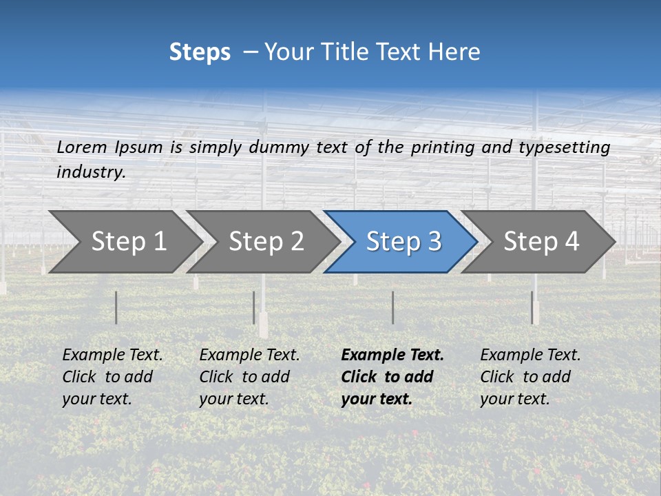 Interior Growth Pattern PowerPoint Template
