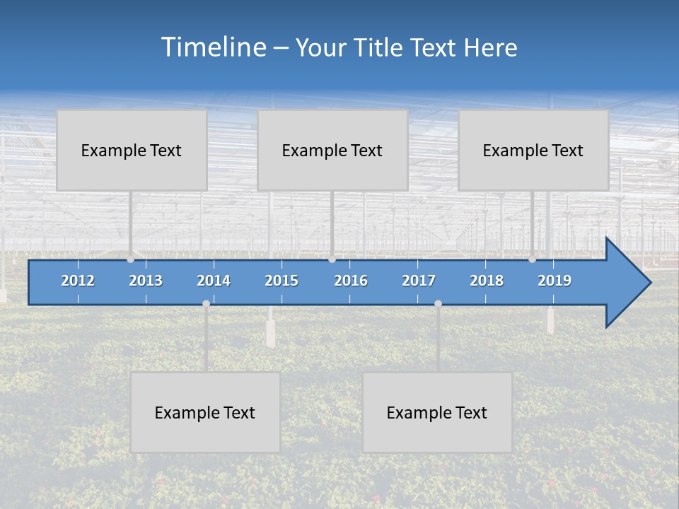 Interior Growth Pattern PowerPoint Template