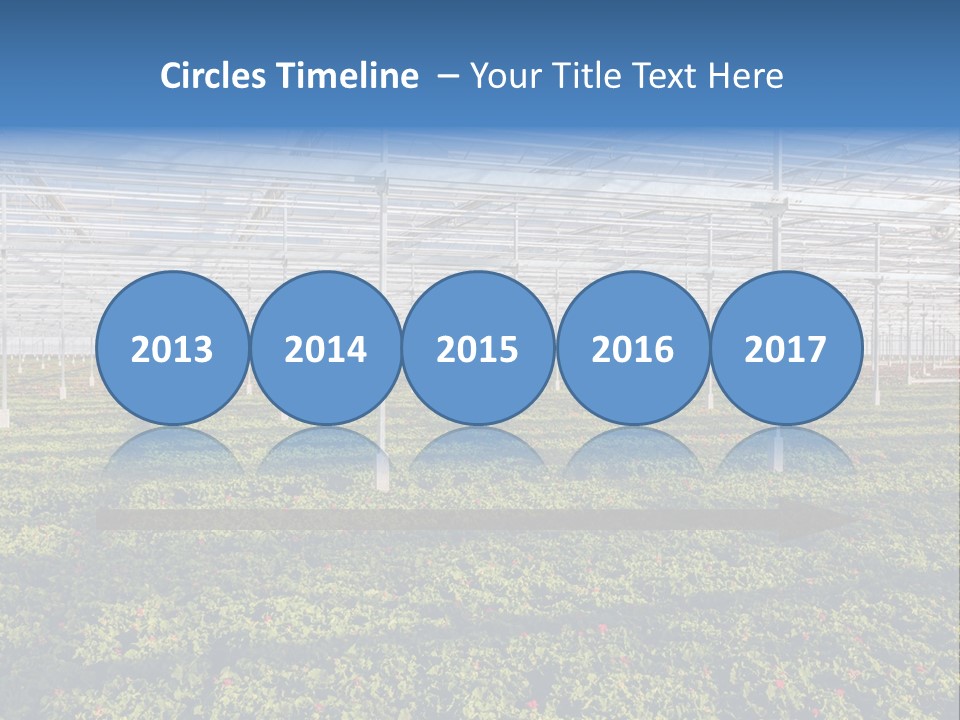Interior Growth Pattern PowerPoint Template