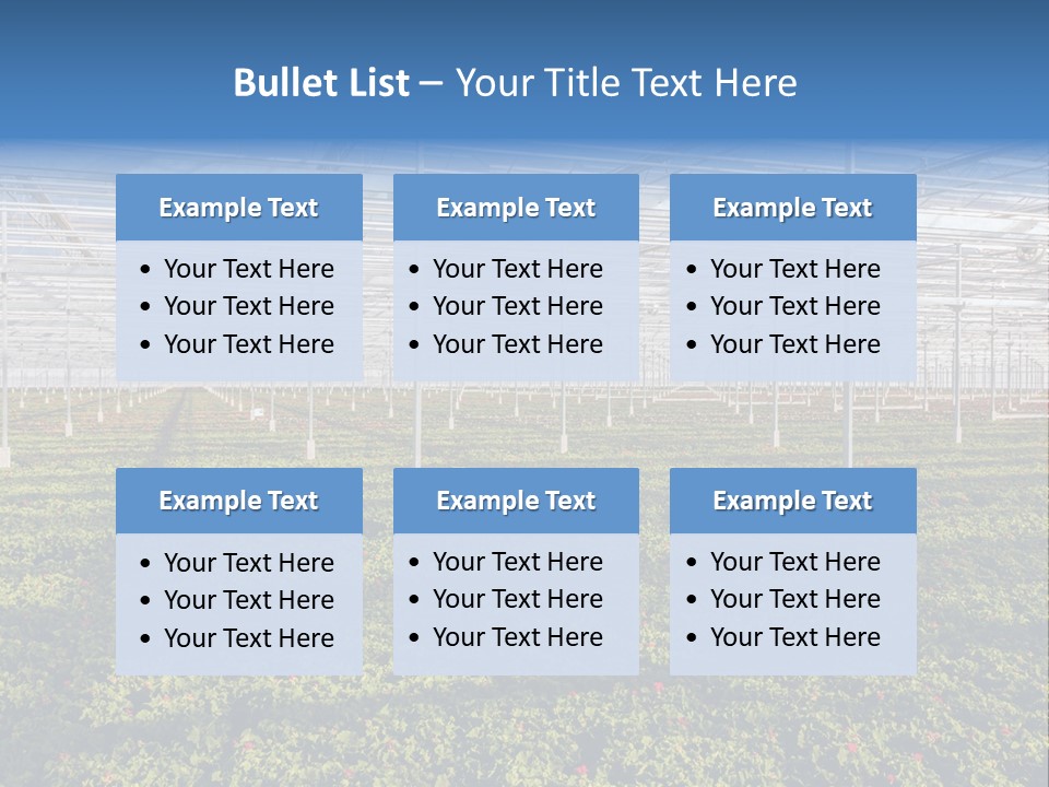 Interior Growth Pattern PowerPoint Template