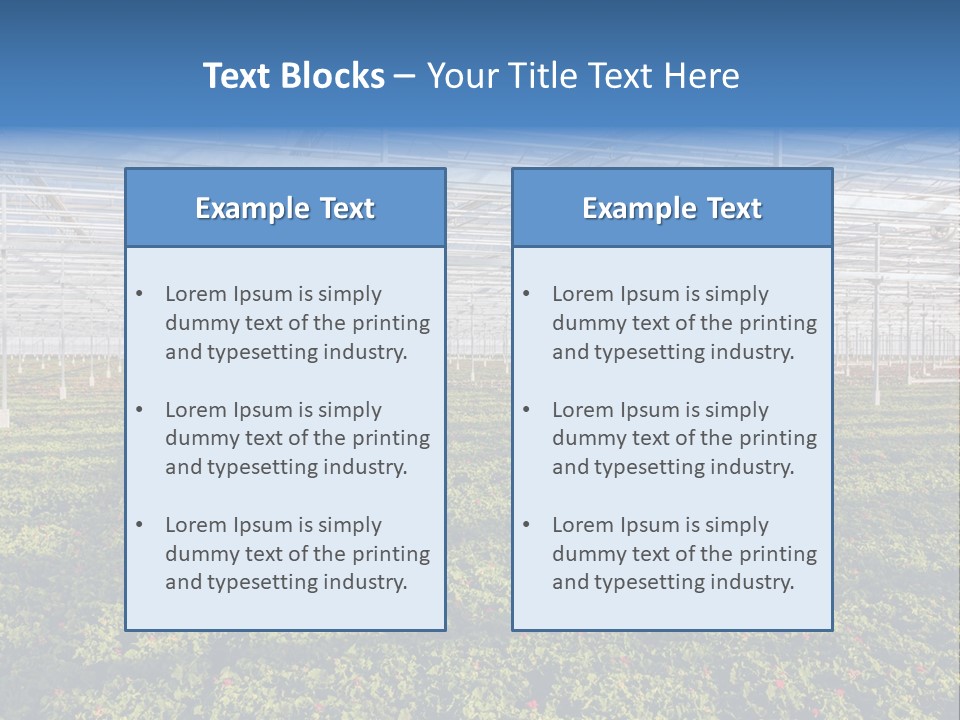 Interior Growth Pattern PowerPoint Template