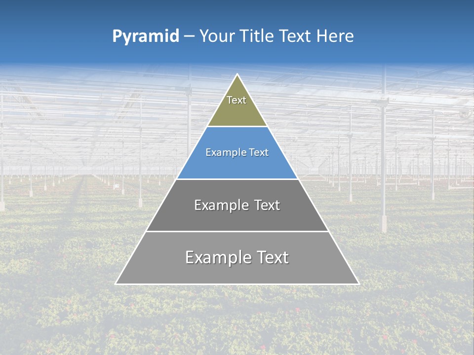 Interior Growth Pattern PowerPoint Template