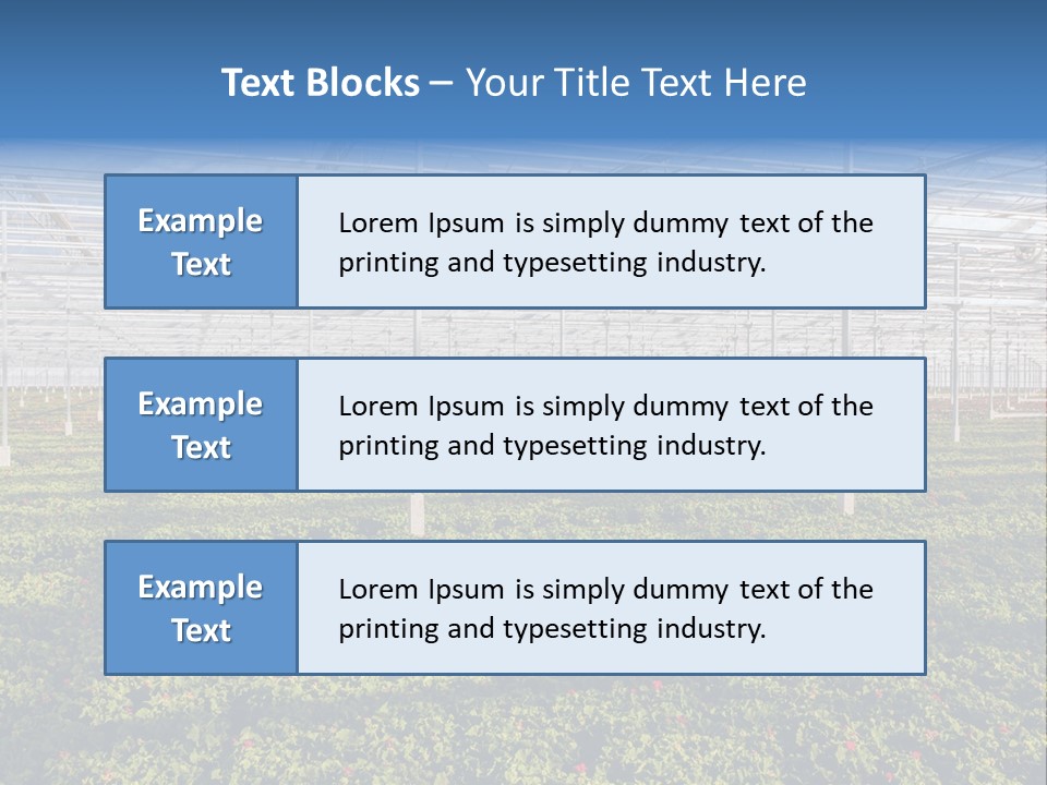 Interior Growth Pattern PowerPoint Template