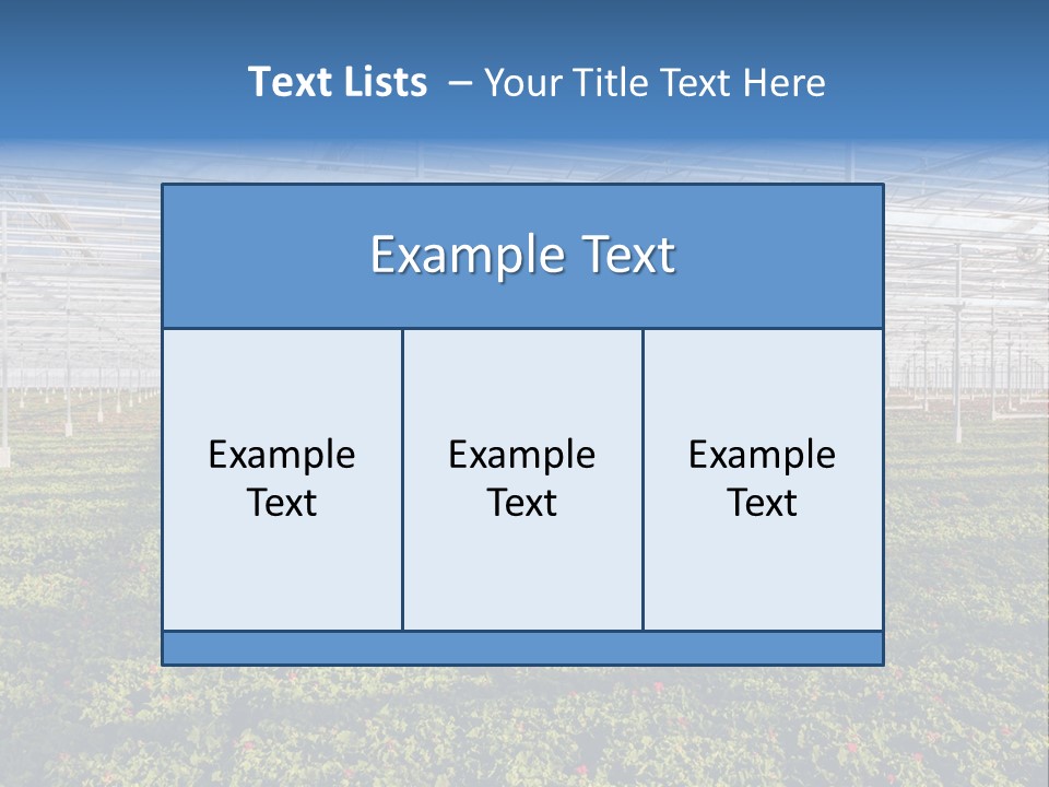 Interior Growth Pattern PowerPoint Template