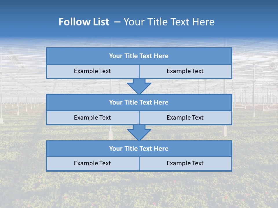 Interior Growth Pattern PowerPoint Template