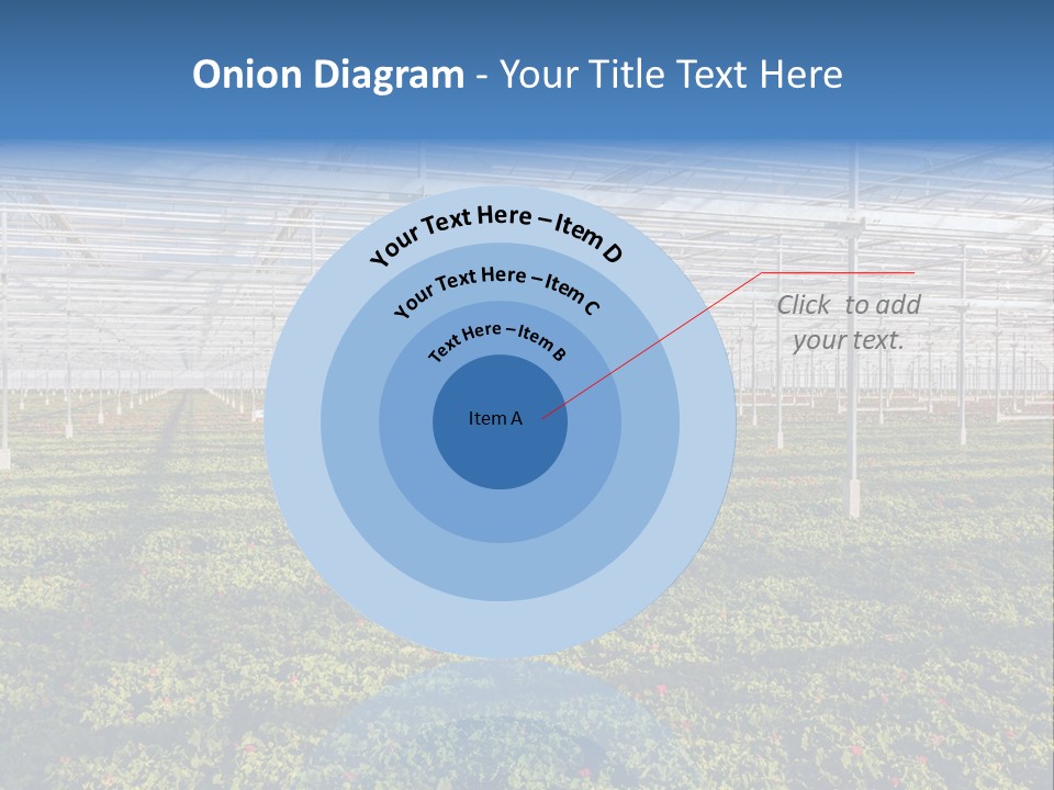 Interior Growth Pattern PowerPoint Template