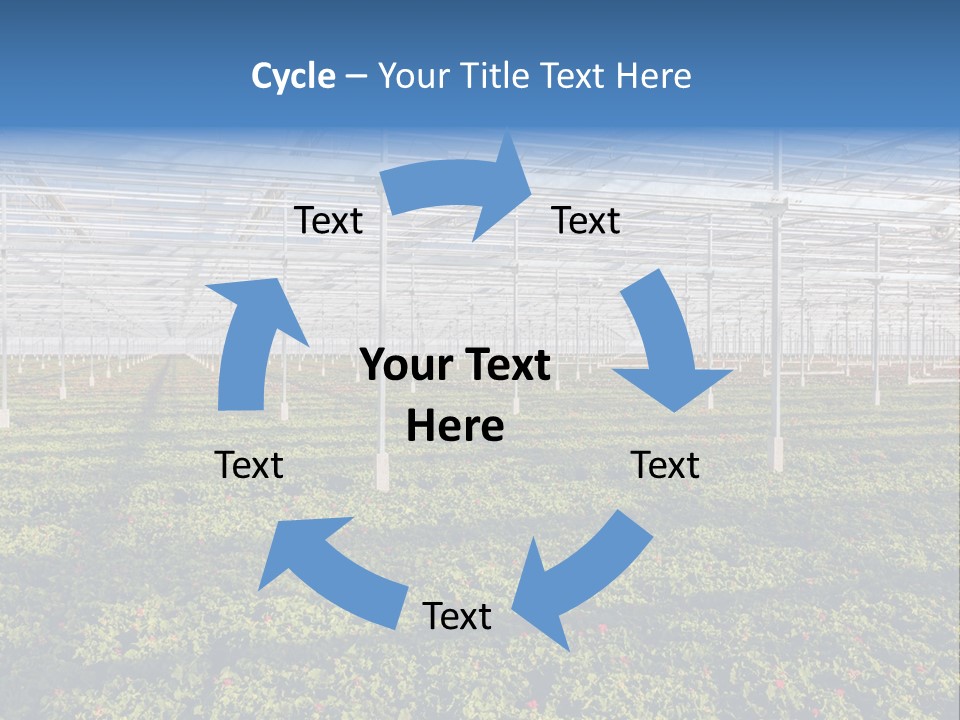 Interior Growth Pattern PowerPoint Template