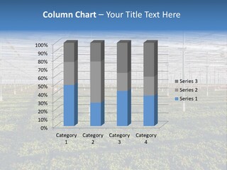 Interior Growth Pattern PowerPoint Template