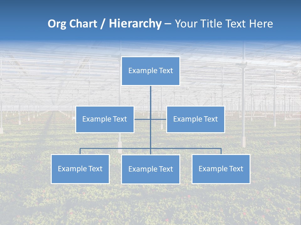 Interior Growth Pattern PowerPoint Template