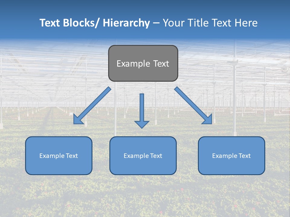 Interior Growth Pattern PowerPoint Template