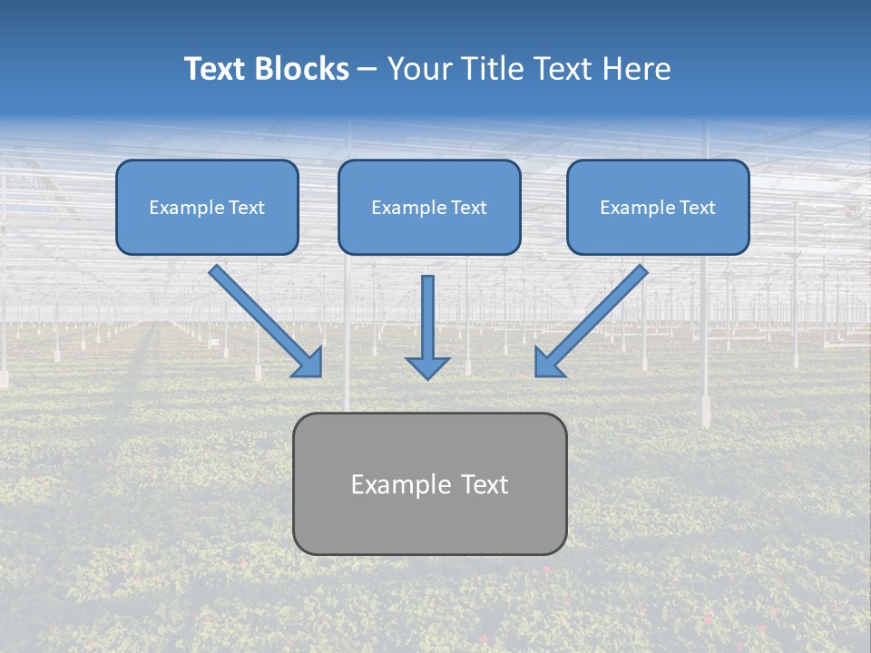 Interior Growth Pattern PowerPoint Template