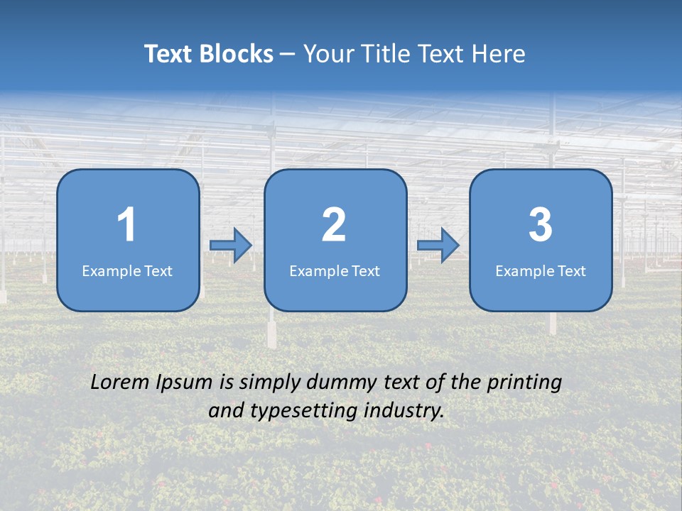 Interior Growth Pattern PowerPoint Template