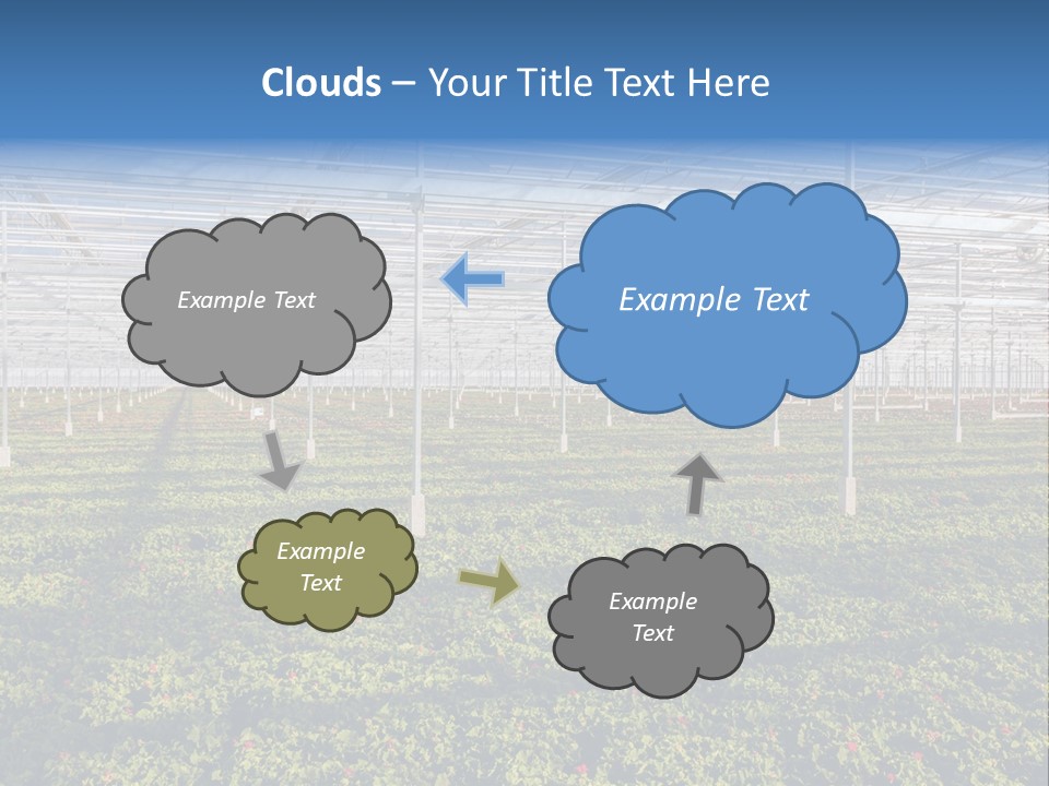 Interior Growth Pattern PowerPoint Template