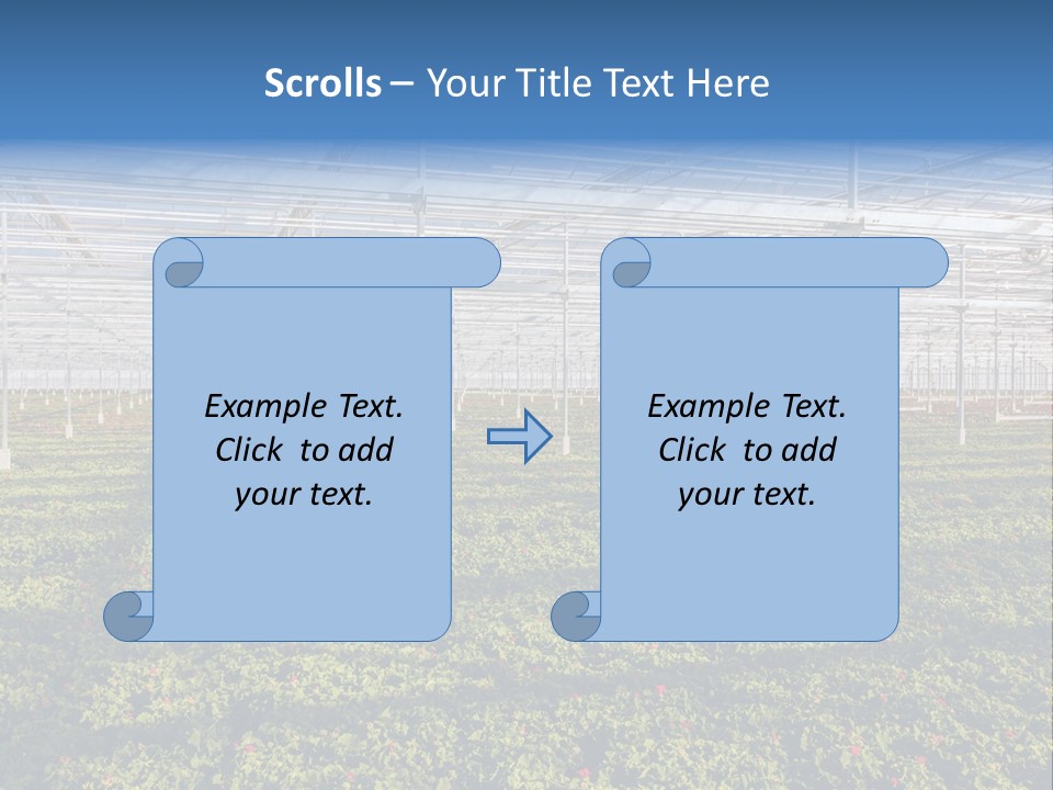 Interior Growth Pattern PowerPoint Template