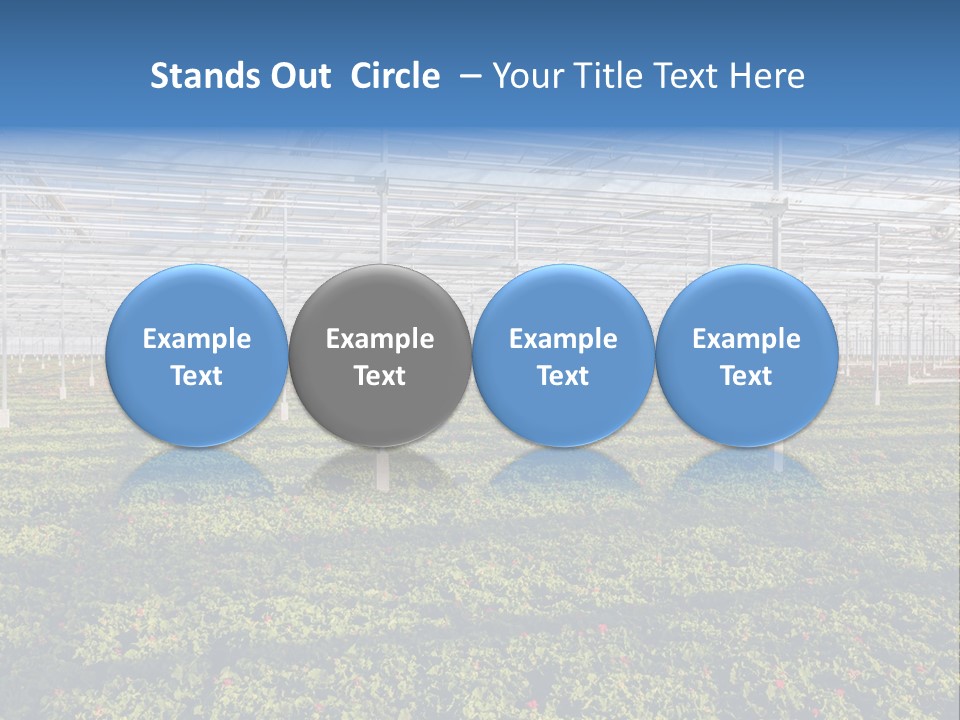 Interior Growth Pattern PowerPoint Template