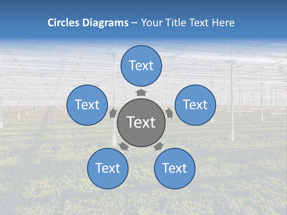 Interior Growth Pattern PowerPoint Template