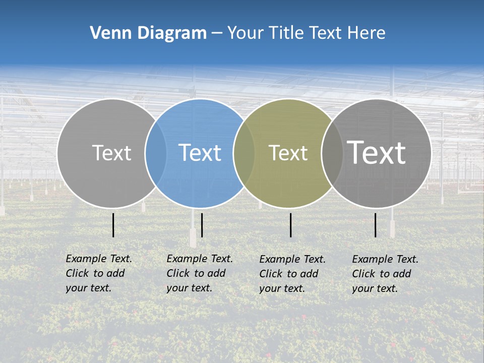 Interior Growth Pattern PowerPoint Template