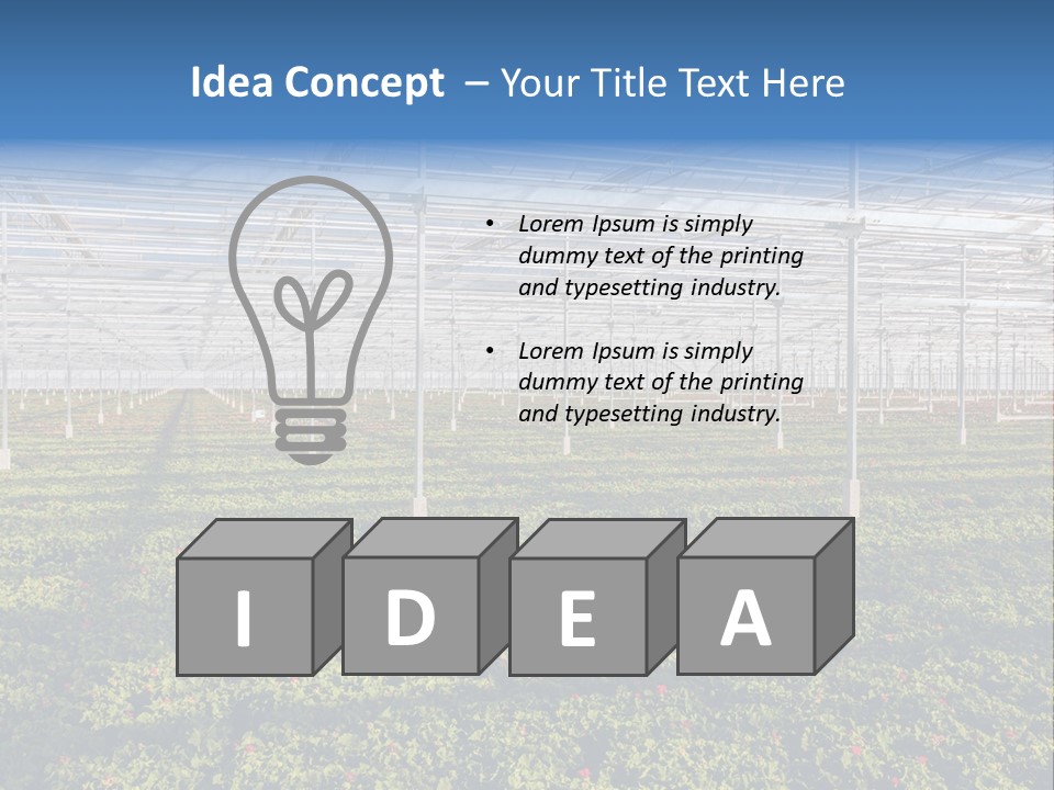 Interior Growth Pattern PowerPoint Template