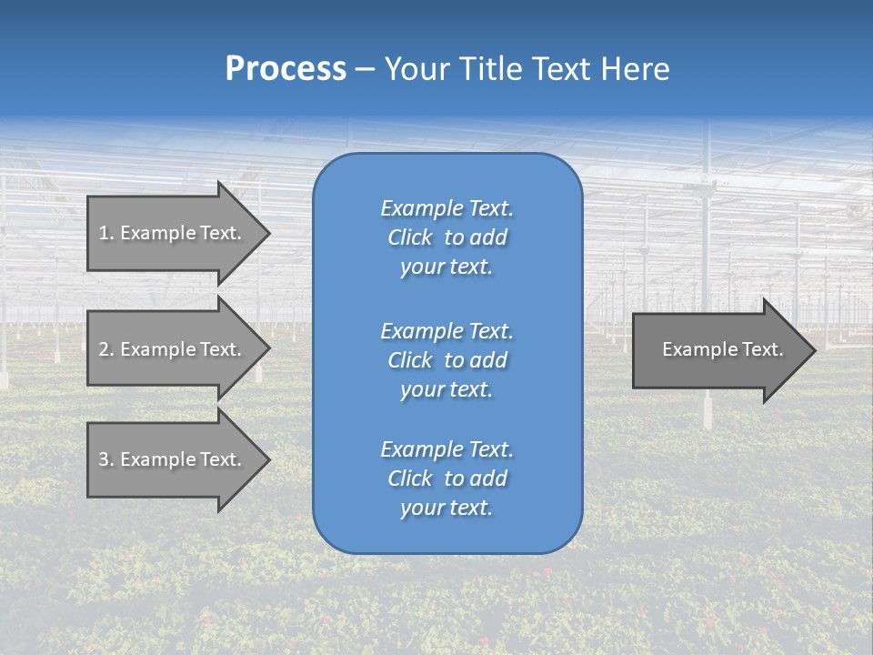 Interior Growth Pattern PowerPoint Template