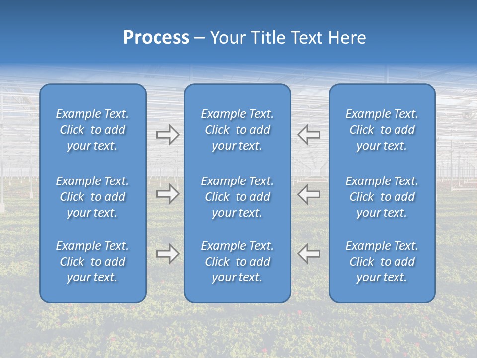 Interior Growth Pattern PowerPoint Template