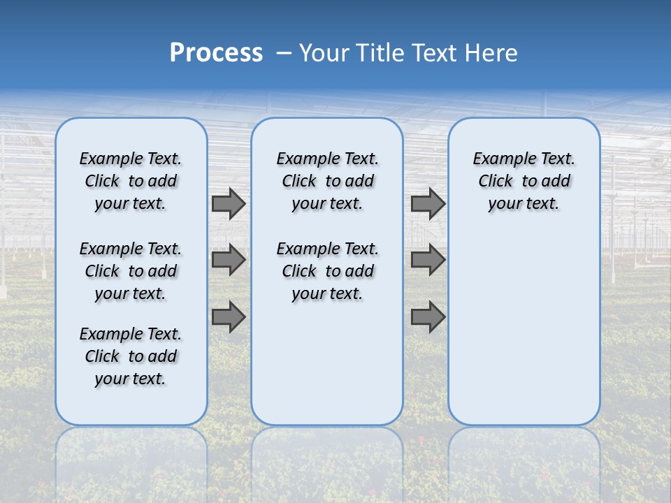 Interior Growth Pattern PowerPoint Template